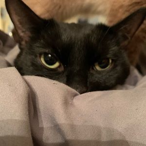 Meet your Posher, Victor